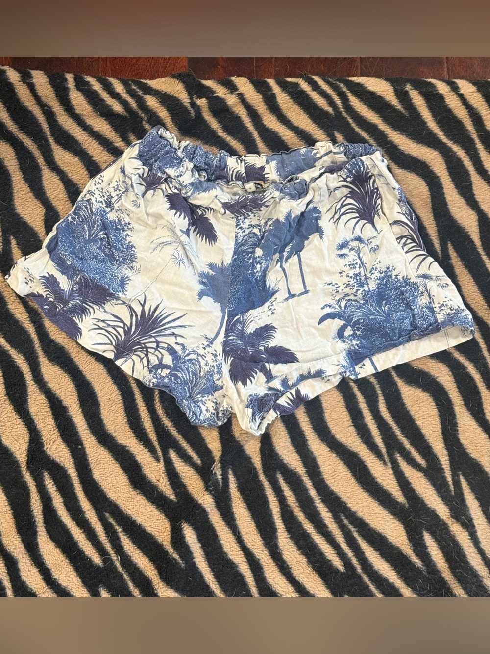 Palm Tree Beach Shorts